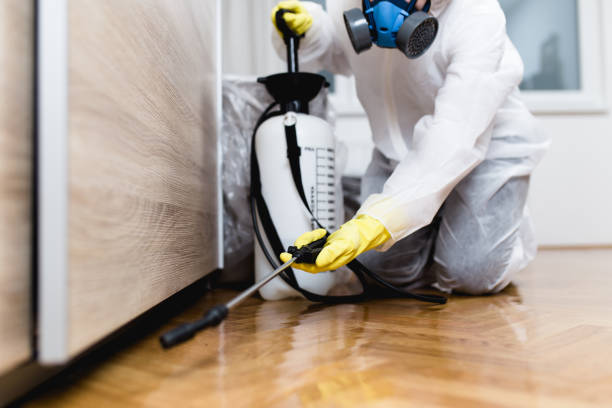 Best Commercial Pest Control Services  in Sacaton, AZ