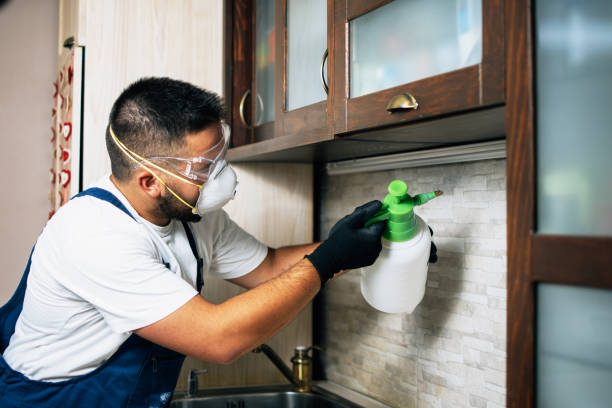 Pest Control for Restaurants in Sacaton, AZ