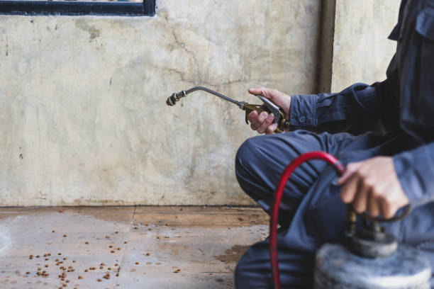 Best Mosquito Control Services  in Sacaton, AZ